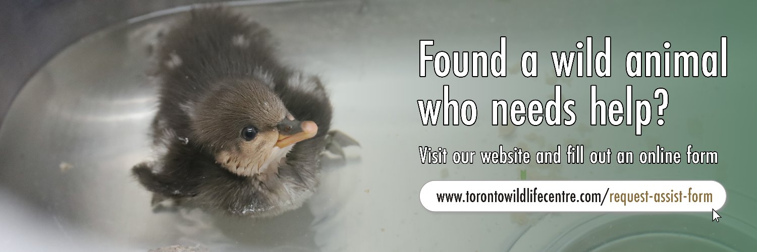 Toronto Wildlife Centre's banner