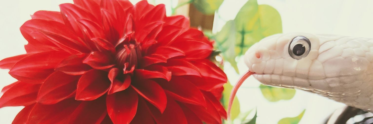 ヒロミ's banner