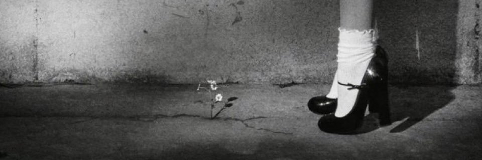 𝑬𝒎𝐬 ꕤ's banner
