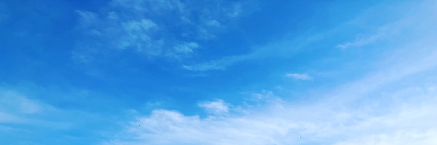 Scorpion's banner