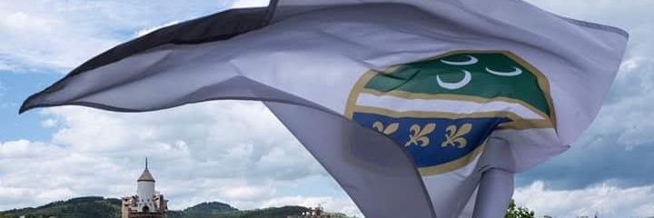 Džanan Baćićanin's banner