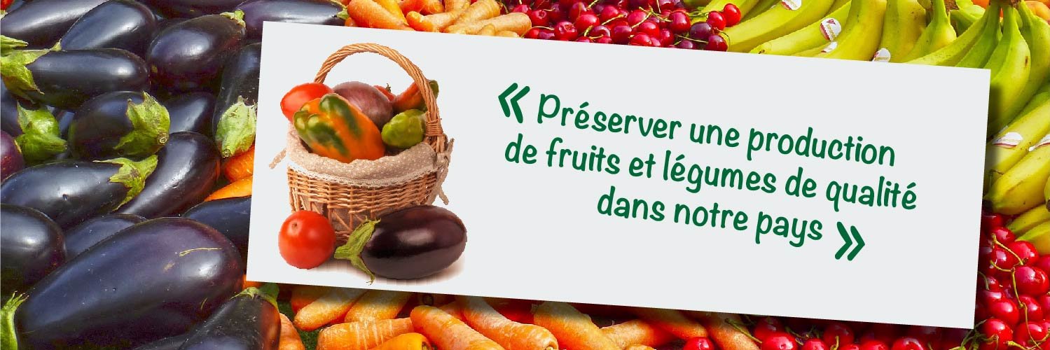 Collectif Sauvons les fruits et légumes de France's banner