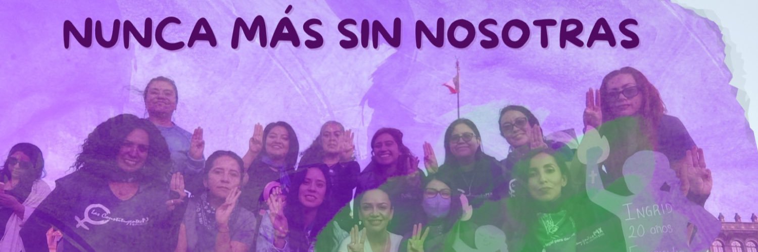 Las Constituyentes Feministas's banner