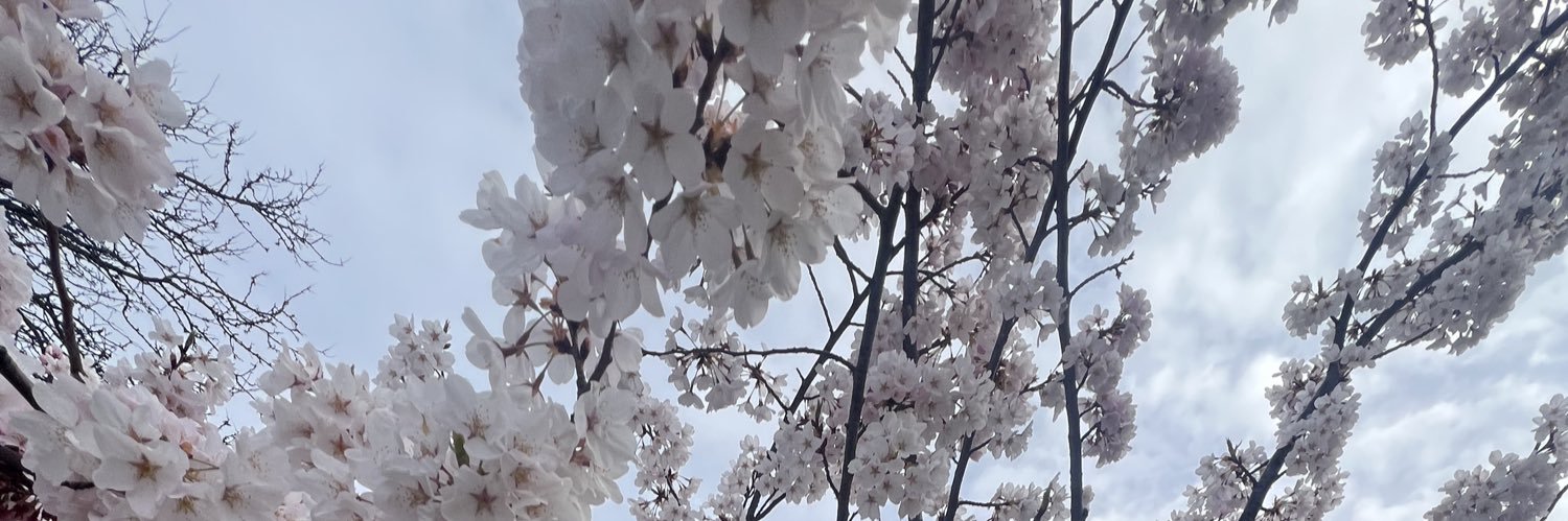 Onee's banner