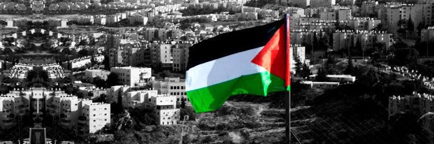 أشرف العالمي's banner