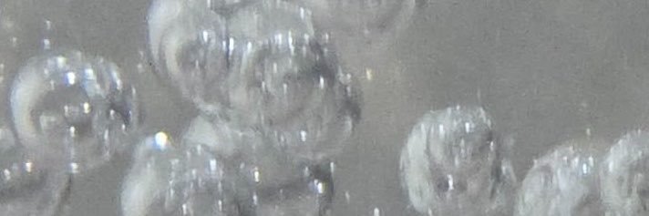 たぬき's banner