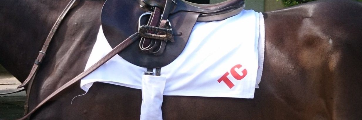 TraceyCollinsRacing's banner