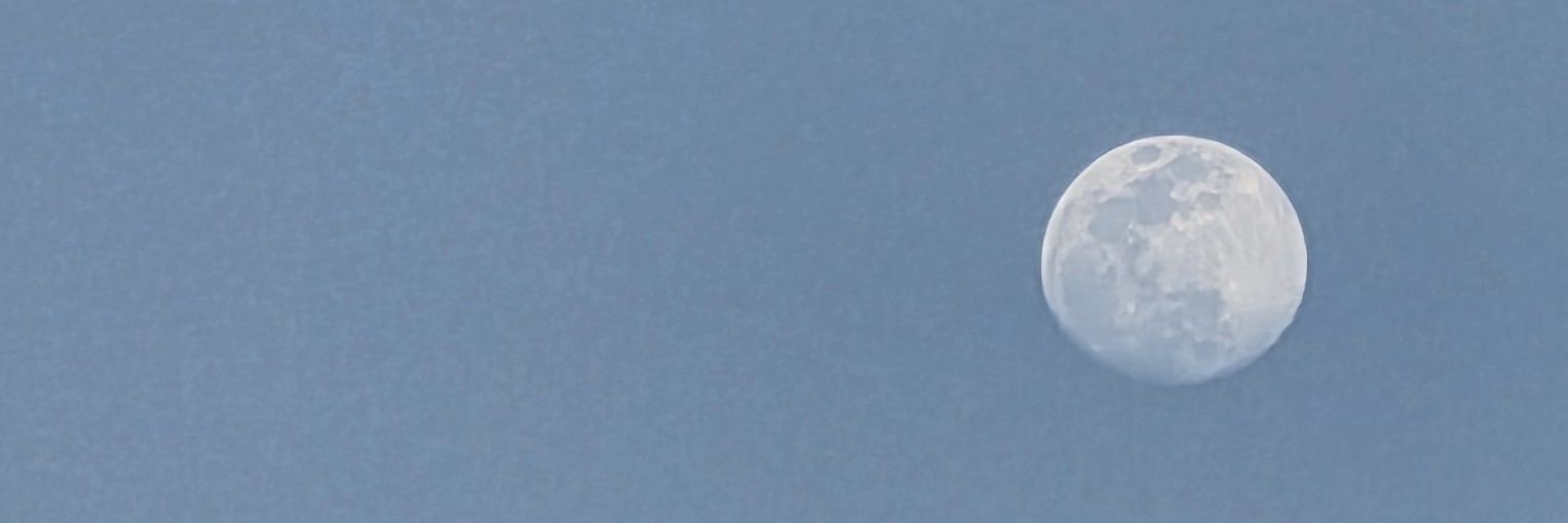 Madamtongy's banner