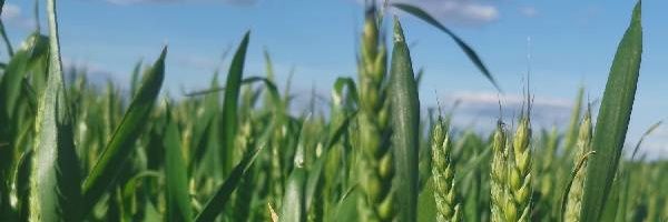Veaulin Brice 🚜🌾🌻🌽's banner