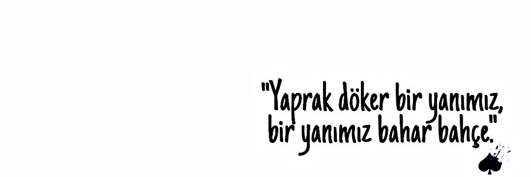Ayşe Kutluhan's banner