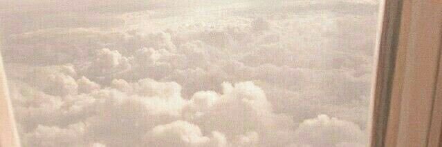 𝐀𝐥𝐢 🧸's banner