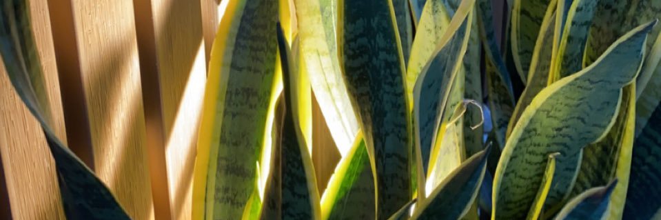 حدائق لاندي's banner