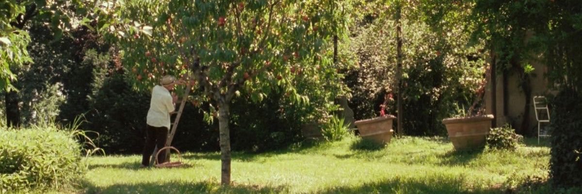 braki⁷'s banner