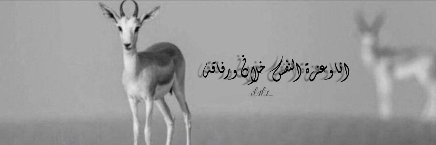 𝒮𝒶𝓇𝒶𝒽's banner