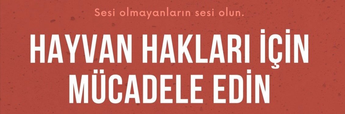 Veysel Görmiyenoğulları's banner
