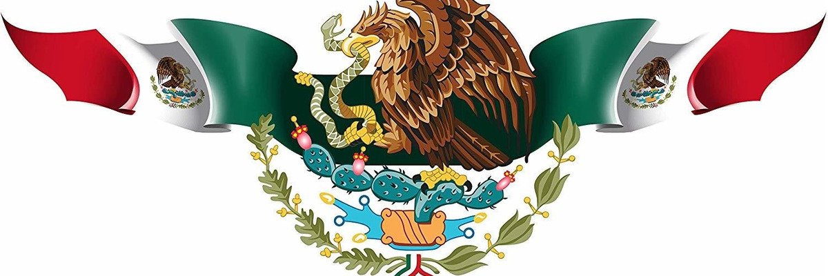 MARCO ALTAMIRANO's banner