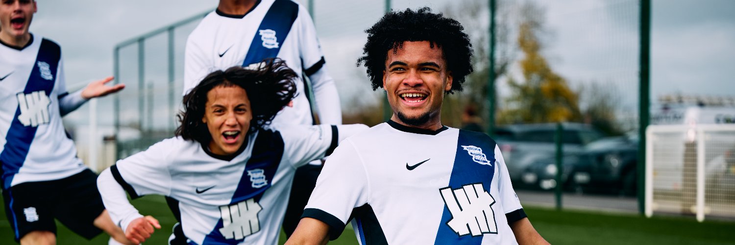 Birmingham City Academy's banner