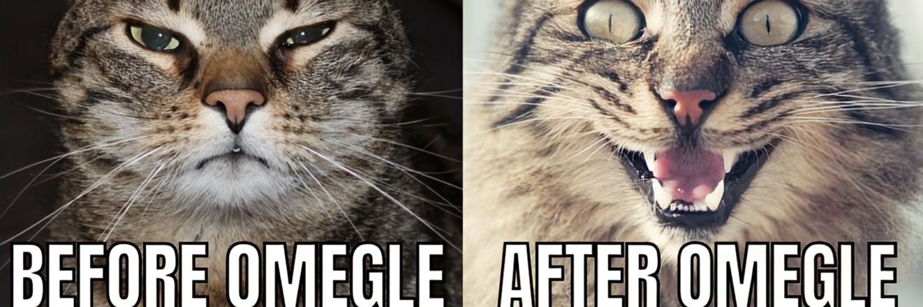 wild Omegle clips's banner
