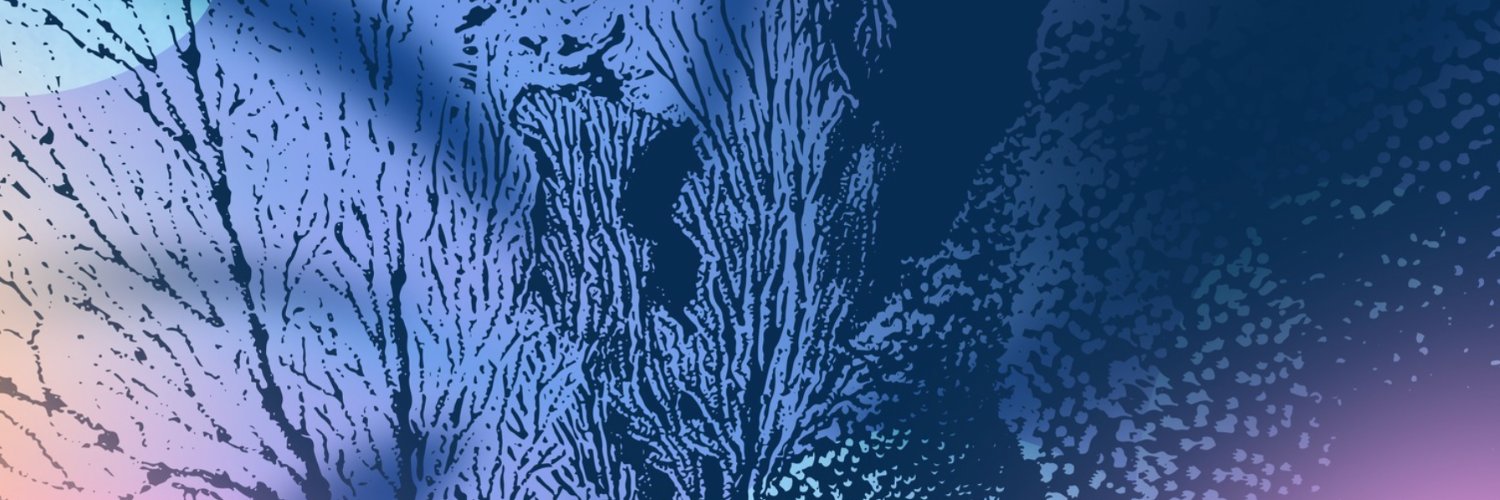 WSL One Ocean's banner