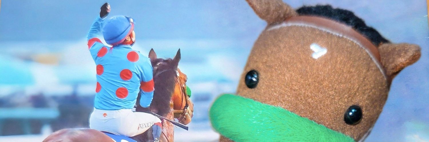Ruco's banner