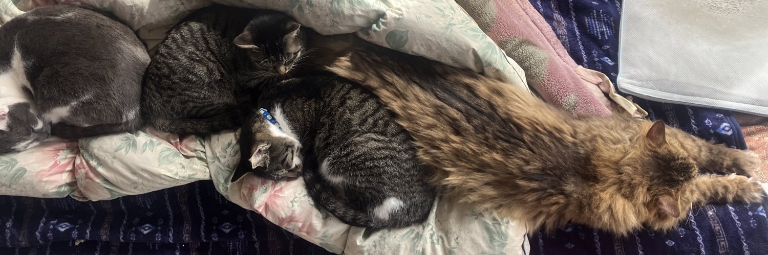 輪ネコ　猫飼いの自転車屋's banner