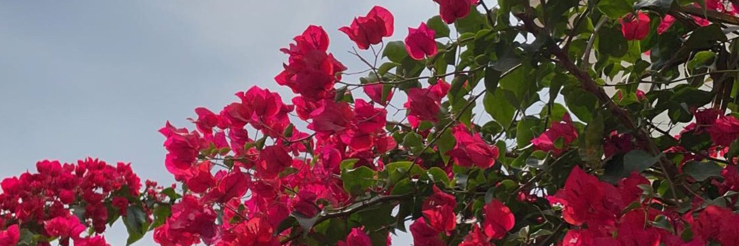 د. البندري سعود صاهود's banner