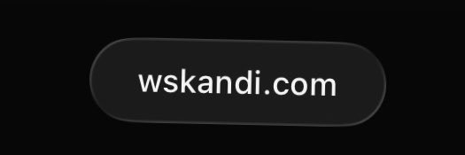 worldskandi's banner