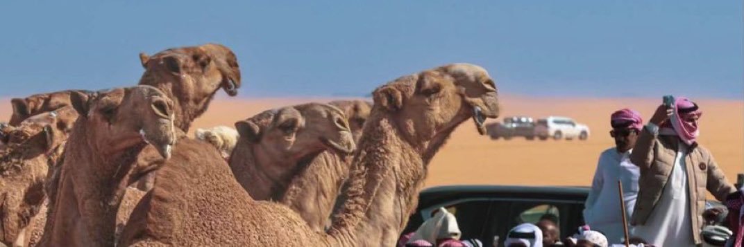 عبدالله بن عون's banner