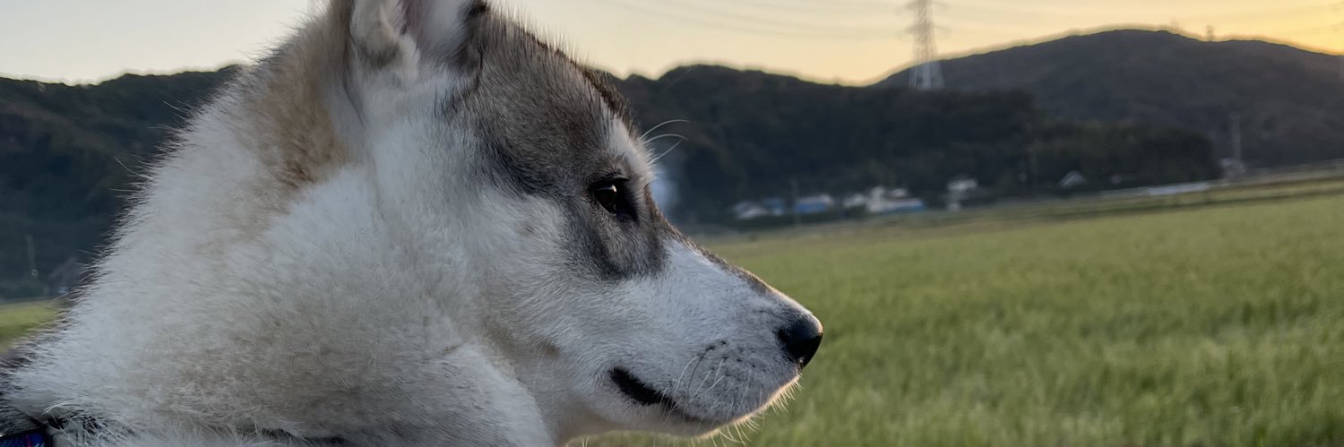REOLΣhusky's banner