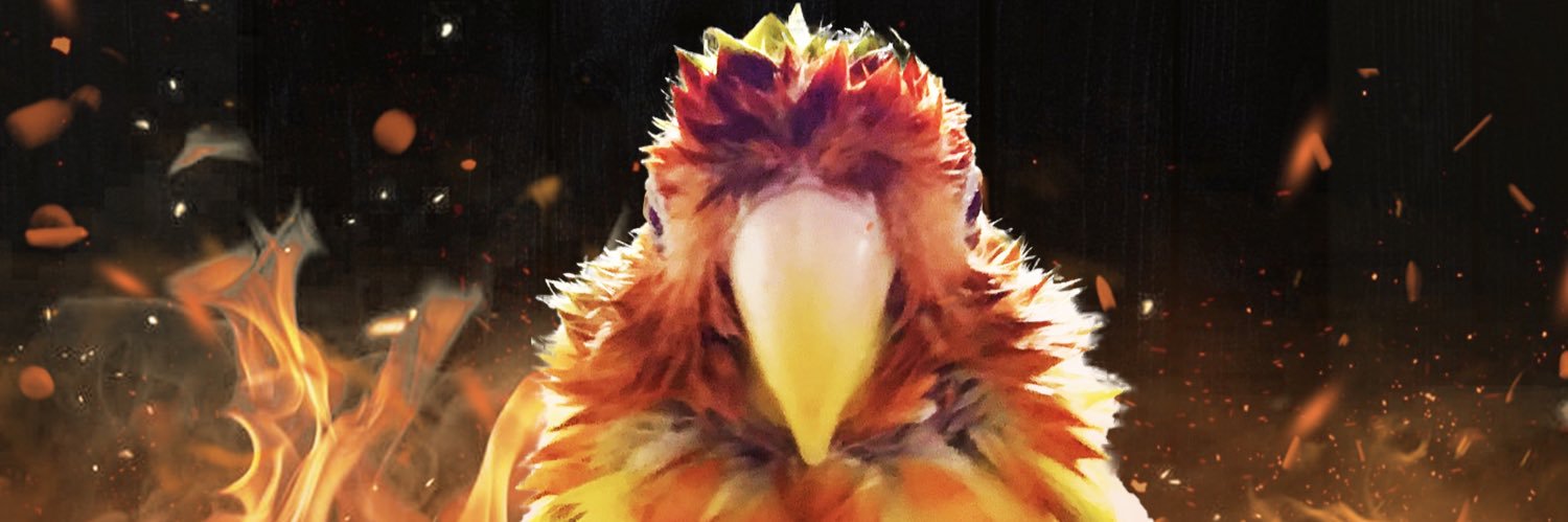 インコ丸氏's banner