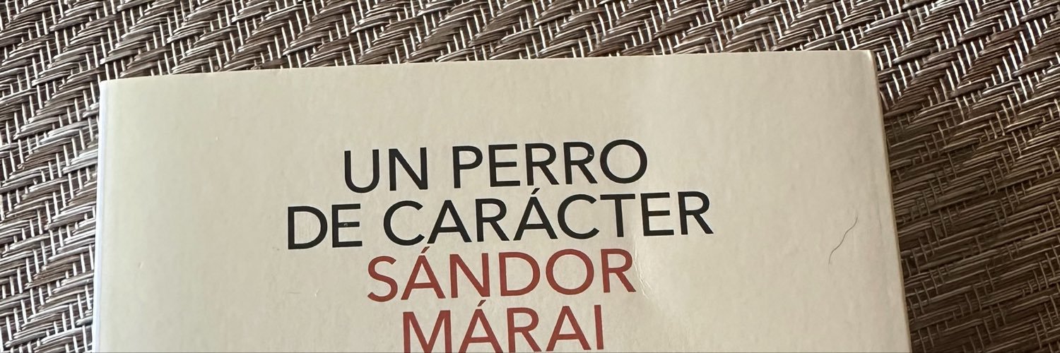 José Zaragoza's banner
