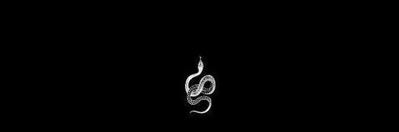 apatica's banner