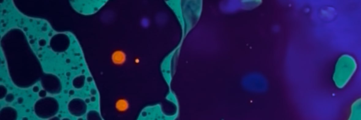 レコゲバ's banner