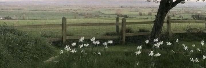 max 𖦹's banner