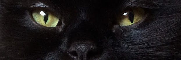Martina Rakanjel's banner