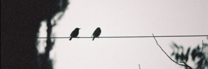 آواز سکوت's banner