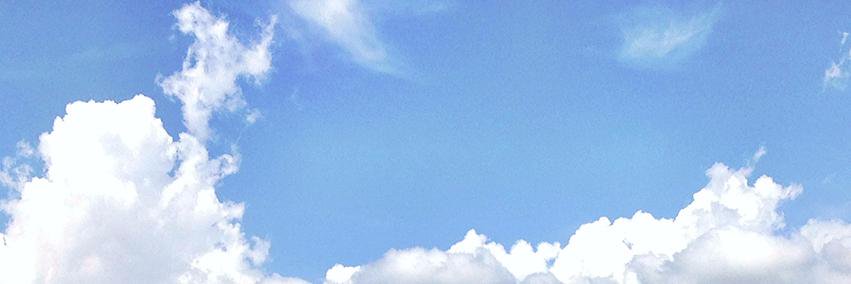 THE ANSWER's banner
