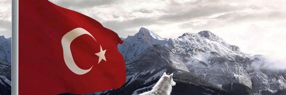 Lion's banner