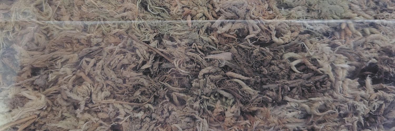 えるのりろ🐸朝食熙八's banner