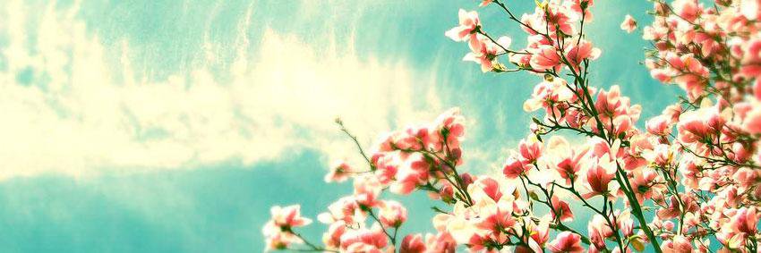 Toya Tuya's banner