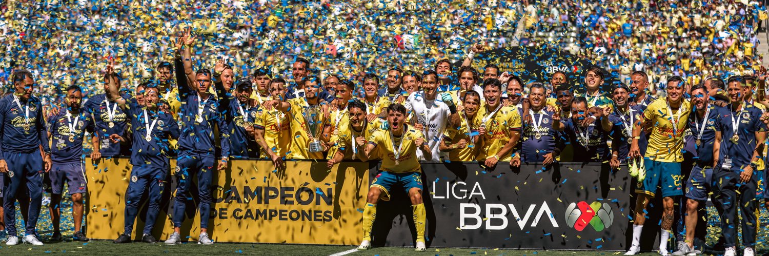 Rodolfo Cota's banner