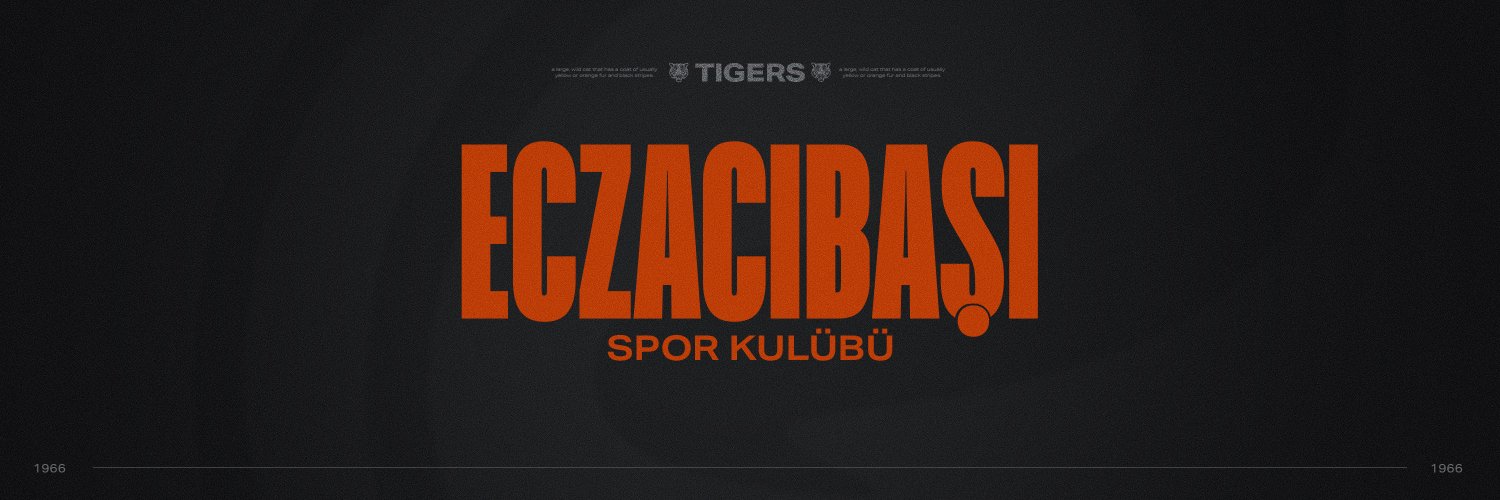 Eczacıbaşı Spor Kulübü's banner
