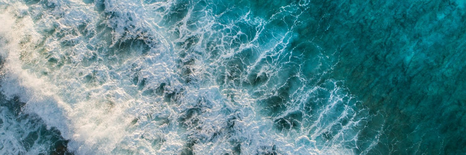 H u g o L e a l ®'s banner