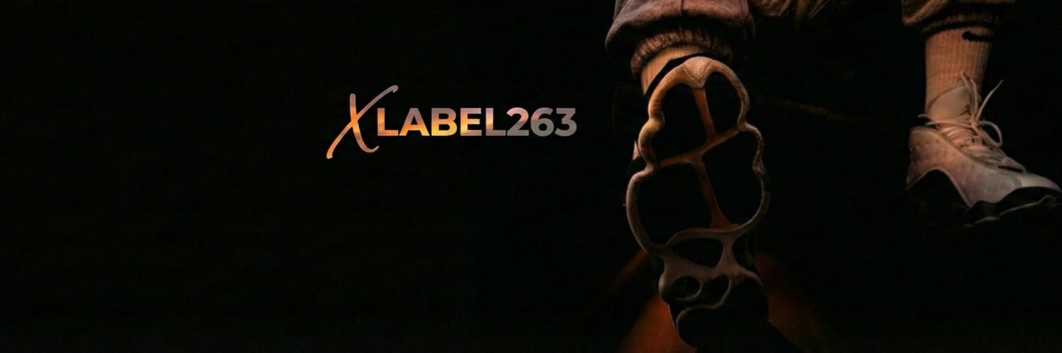 XL263's banner
