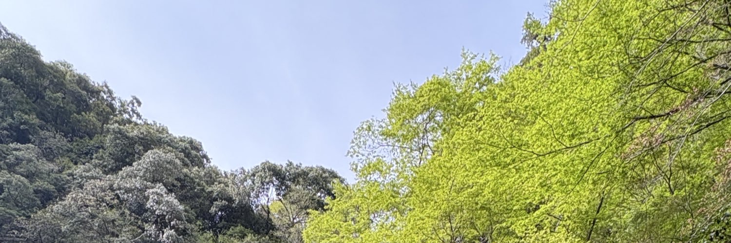 noah's banner