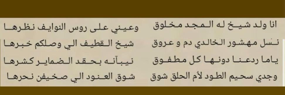 محمد بن ثنيان المهاشير الخالدي's banner
