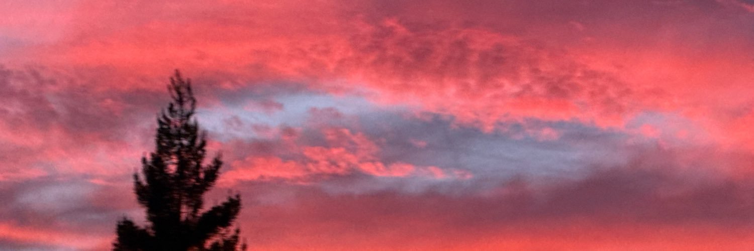 dev's banner
