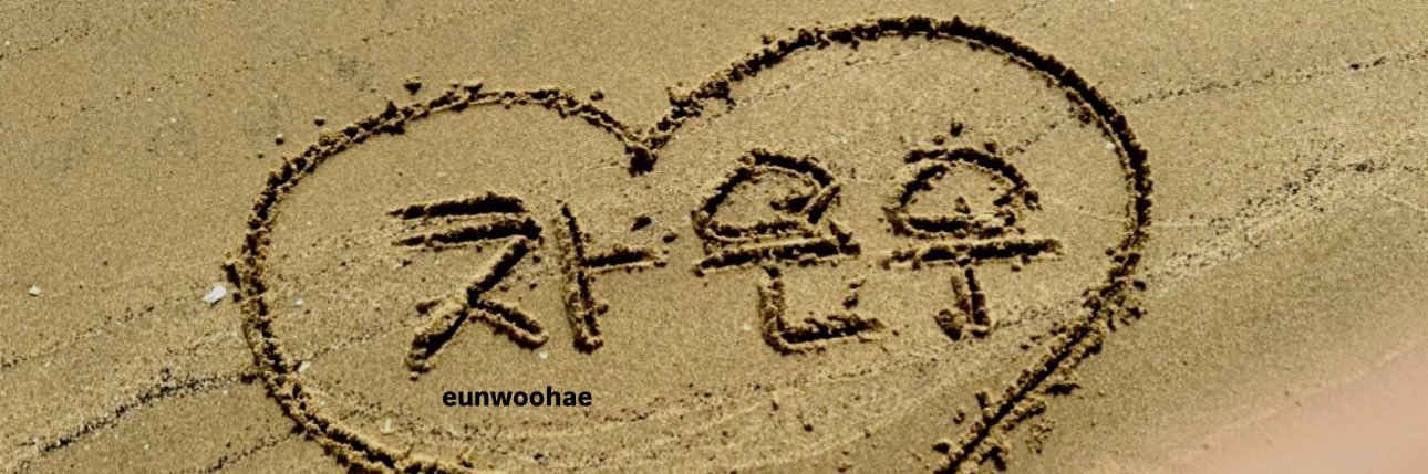 eunwoohae ꨄ︎'s banner