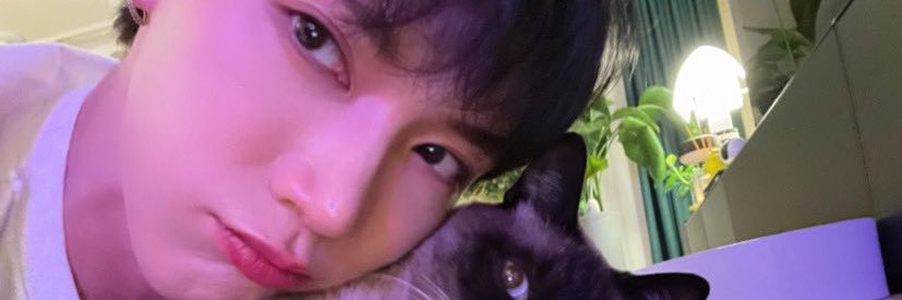 TENRomiล์ 💕's banner