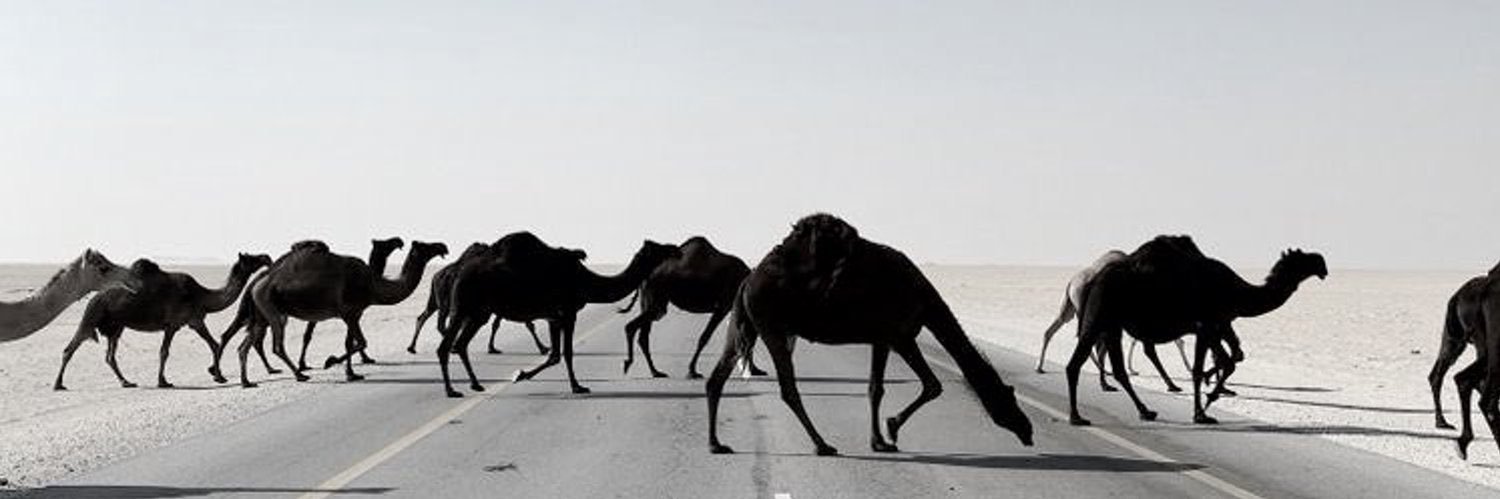 شآمه.'s banner